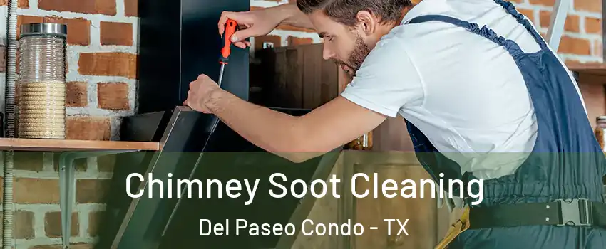Chimney Soot Cleaning Del Paseo Condo - TX