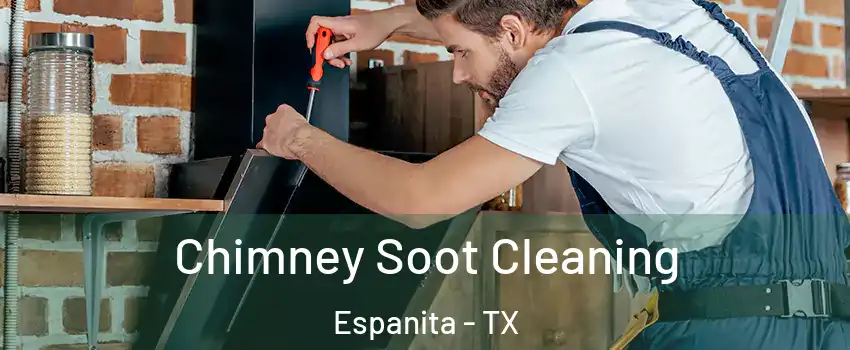 Chimney Soot Cleaning Espanita - TX