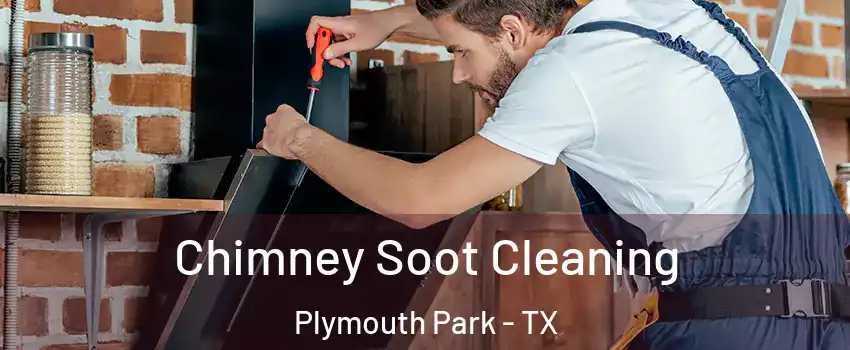 Chimney Soot Cleaning Plymouth Park - TX
