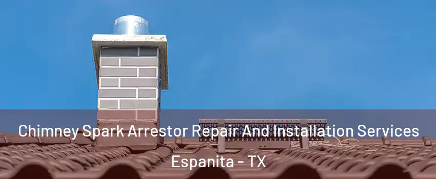 Chimney Spark Arrestor Repair And Installation Services Espanita - TX