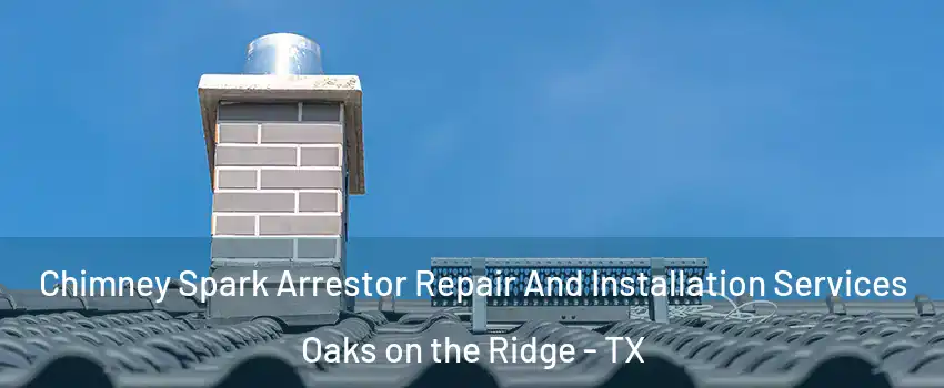 Chimney Spark Arrestor Repair And Installation Services Oaks on the Ridge - TX