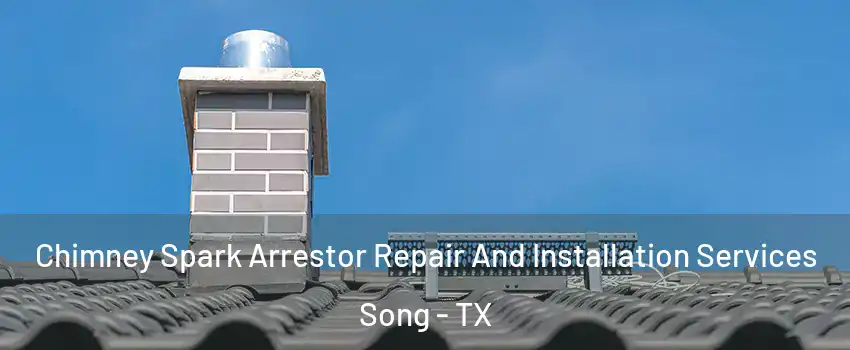Chimney Spark Arrestor Repair And Installation Services Song - TX