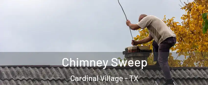 Chimney Sweep Cardinal Village - TX