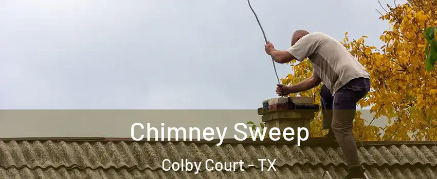 Chimney Sweep Colby Court - TX