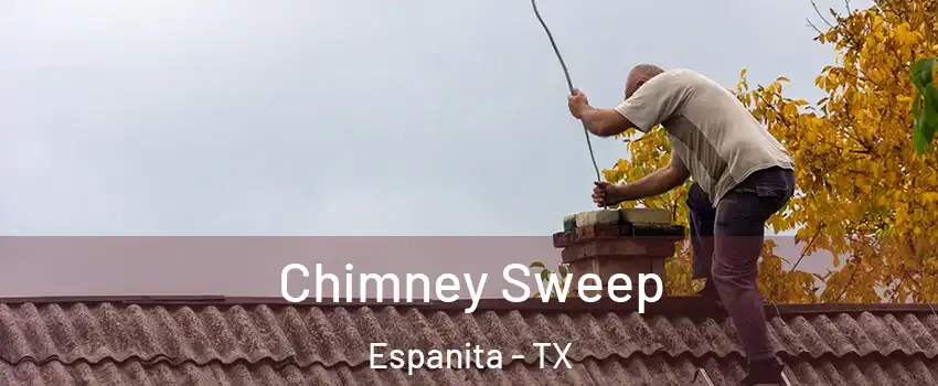 Chimney Sweep Espanita - TX