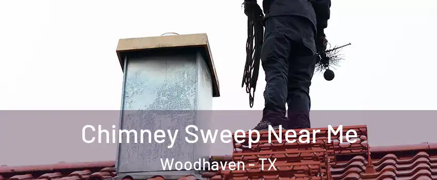 Chimney Sweep Near Me Woodhaven - TX