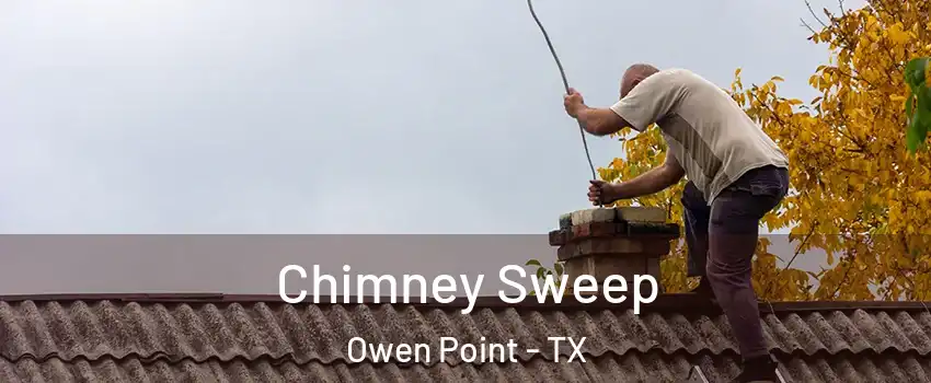 Chimney Sweep Owen Point - TX