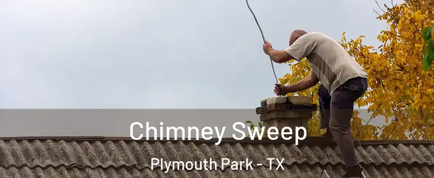 Chimney Sweep Plymouth Park - TX