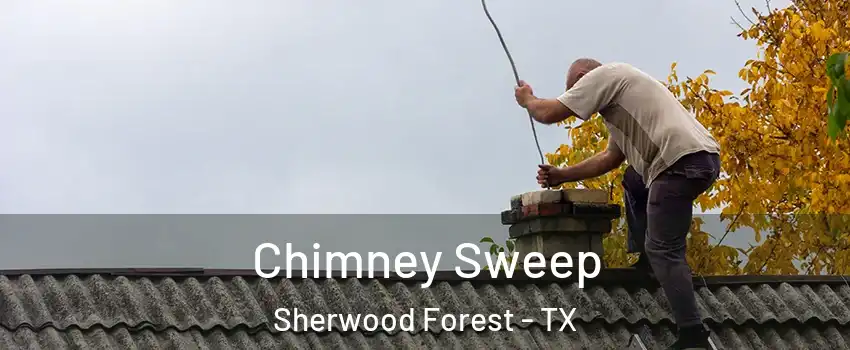 Chimney Sweep Sherwood Forest - TX