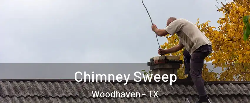 Chimney Sweep Woodhaven - TX