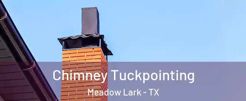 Chimney Tuckpointing Meadow Lark - TX