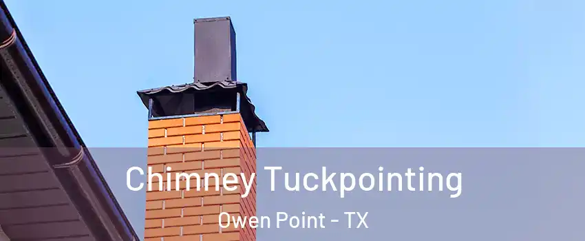 Chimney Tuckpointing Owen Point - TX