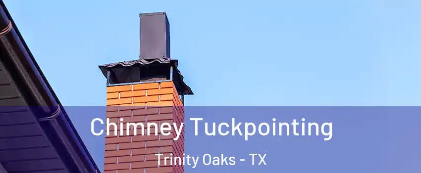Chimney Tuckpointing Trinity Oaks - TX