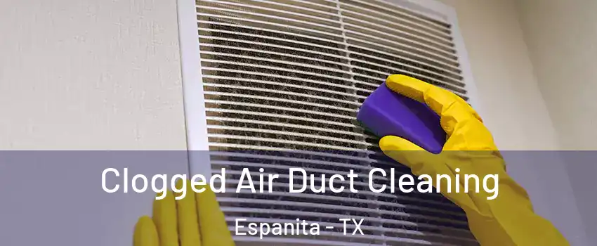 Clogged Air Duct Cleaning Espanita - TX
