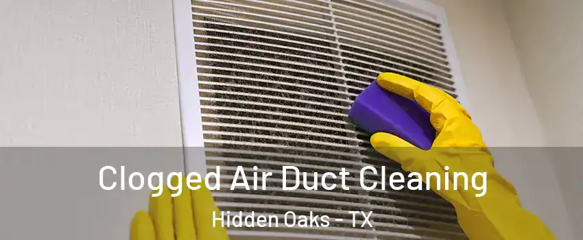 Clogged Air Duct Cleaning Hidden Oaks - TX