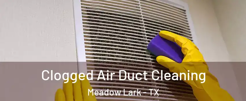 Clogged Air Duct Cleaning Meadow Lark - TX