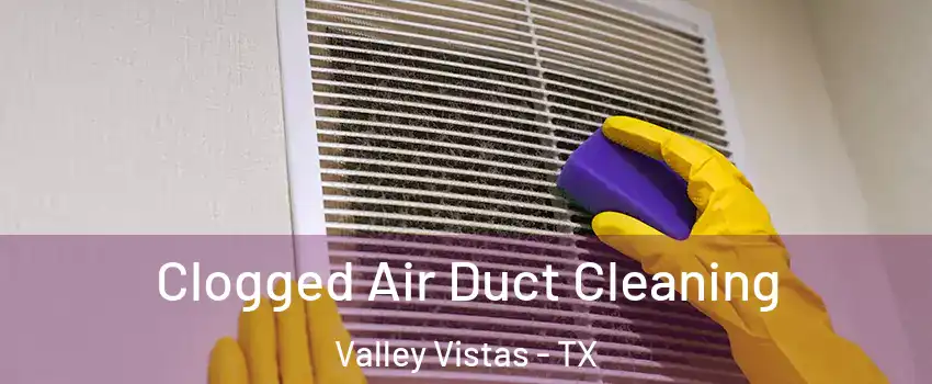 Clogged Air Duct Cleaning Valley Vistas - TX