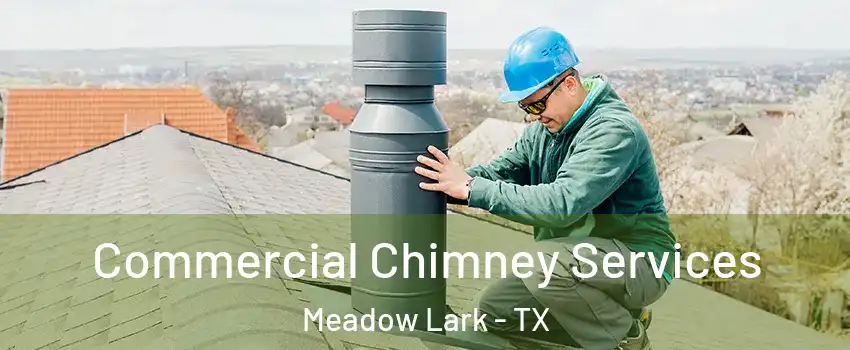 Commercial Chimney Services Meadow Lark - TX