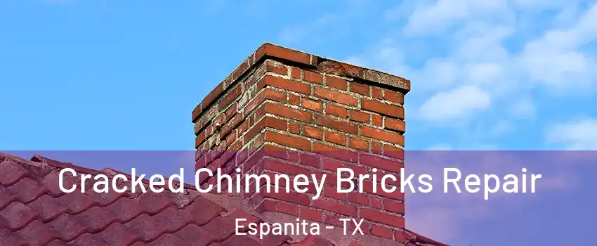 Cracked Chimney Bricks Repair Espanita - TX