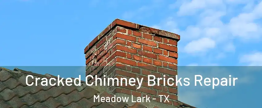Cracked Chimney Bricks Repair Meadow Lark - TX