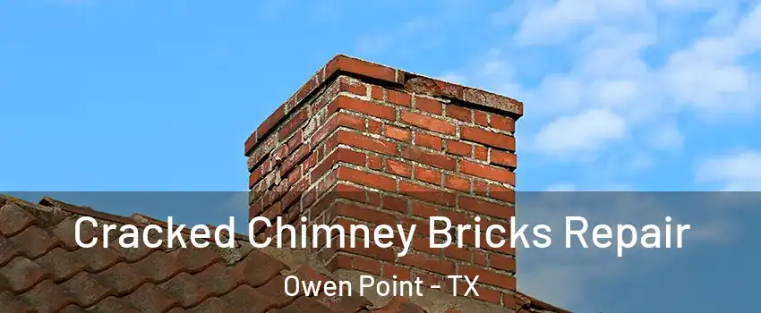 Cracked Chimney Bricks Repair Owen Point - TX
