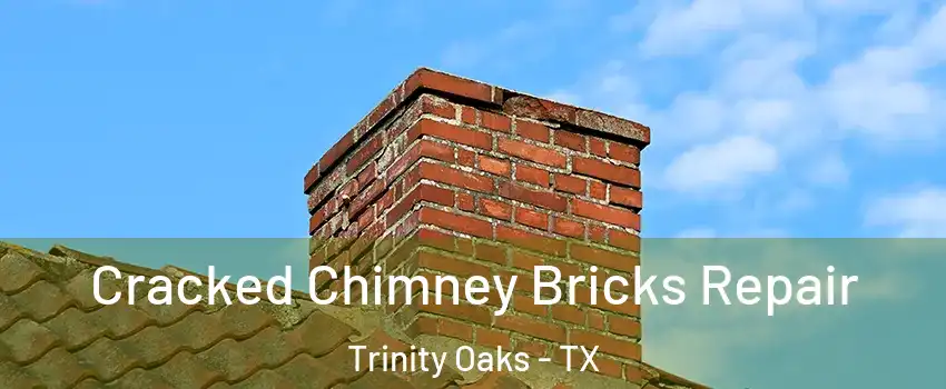 Cracked Chimney Bricks Repair Trinity Oaks - TX