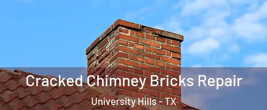 Cracked Chimney Bricks Repair University Hills - TX
