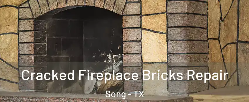 Cracked Fireplace Bricks Repair Song - TX