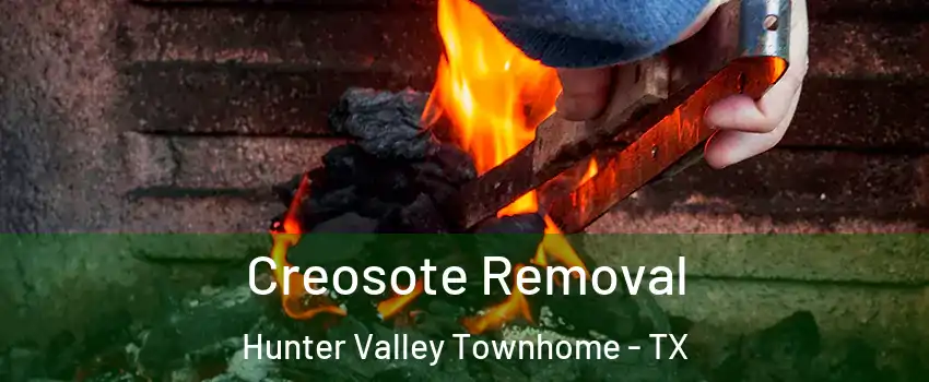 Creosote Removal Hunter Valley Townhome - TX