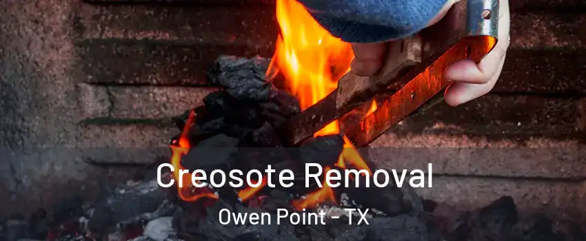 Creosote Removal Owen Point - TX