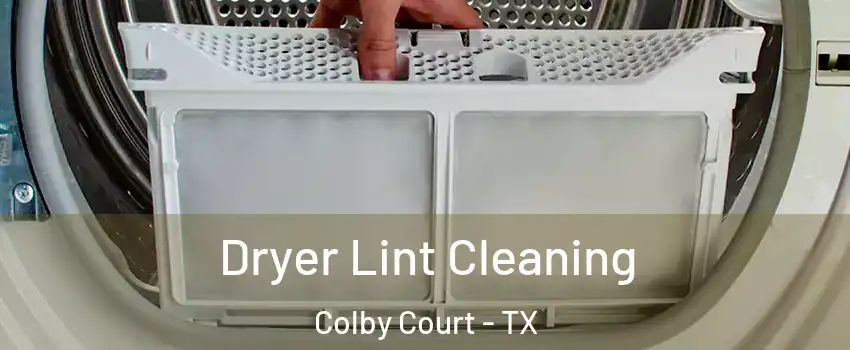 Dryer Lint Cleaning Colby Court - TX