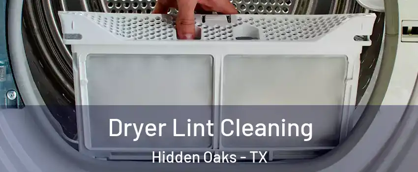 Dryer Lint Cleaning Hidden Oaks - TX