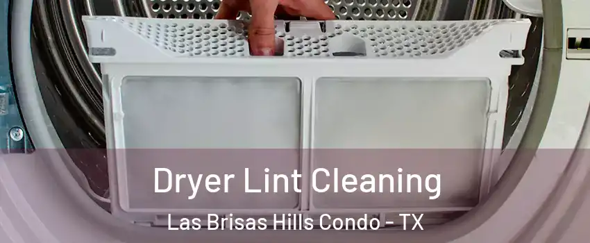Dryer Lint Cleaning Las Brisas Hills Condo - TX