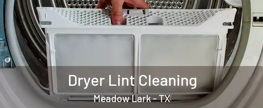 Dryer Lint Cleaning Meadow Lark - TX