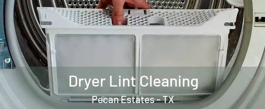 Dryer Lint Cleaning Pecan Estates - TX