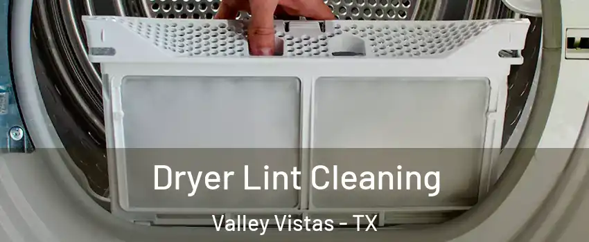 Dryer Lint Cleaning Valley Vistas - TX