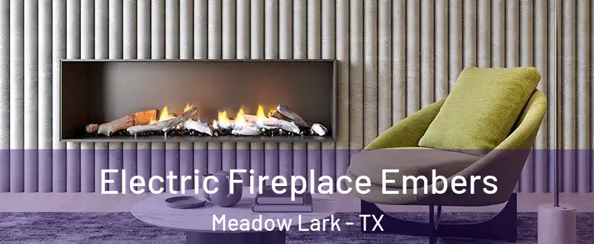 Electric Fireplace Embers Meadow Lark - TX