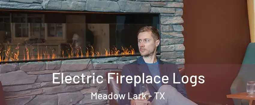Electric Fireplace Logs Meadow Lark - TX
