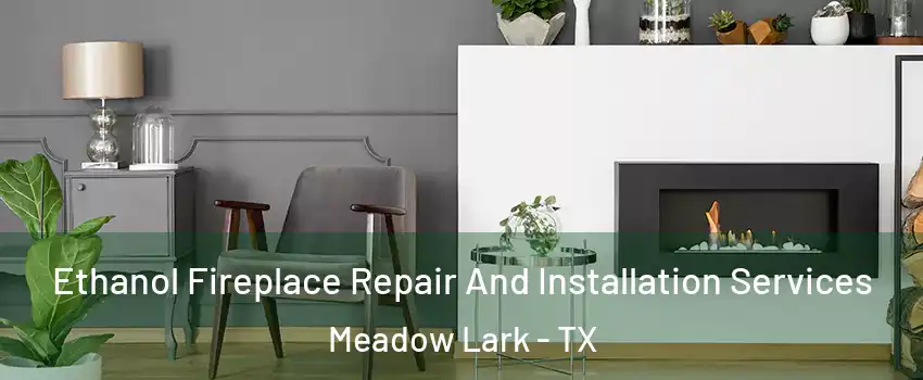 Ethanol Fireplace Repair And Installation Services Meadow Lark - TX