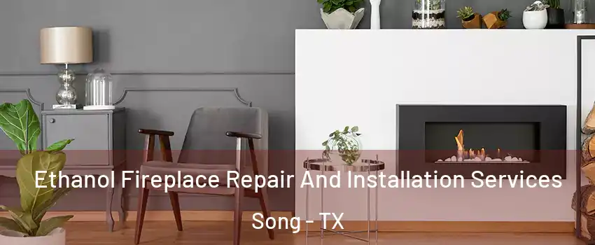 Ethanol Fireplace Repair And Installation Services Song - TX
