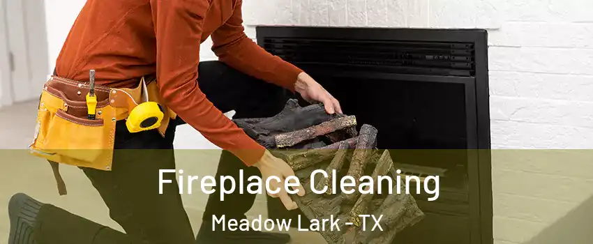 Fireplace Cleaning Meadow Lark - TX