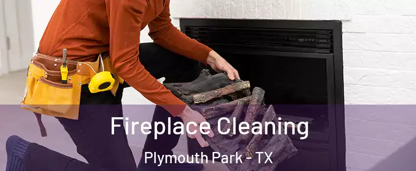 Fireplace Cleaning Plymouth Park - TX