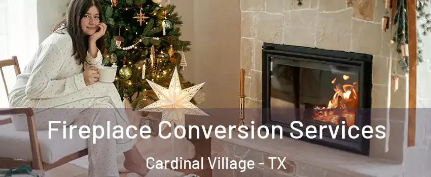 Fireplace Conversion Services Cardinal Village - TX
