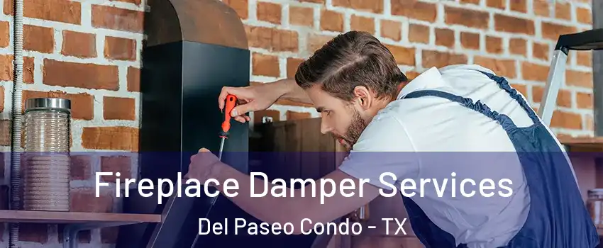 Fireplace Damper Services Del Paseo Condo - TX