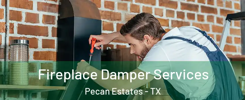 Fireplace Damper Services Pecan Estates - TX