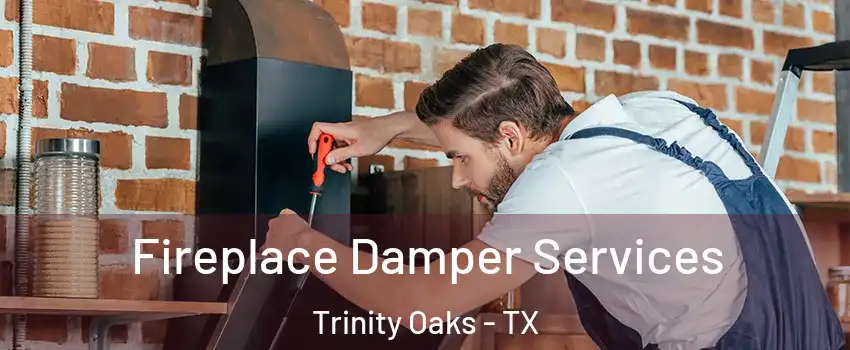 Fireplace Damper Services Trinity Oaks - TX