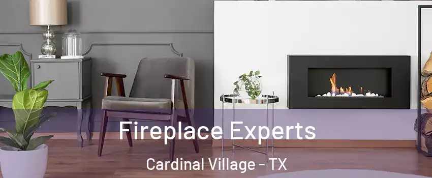 Fireplace Experts Cardinal Village - TX