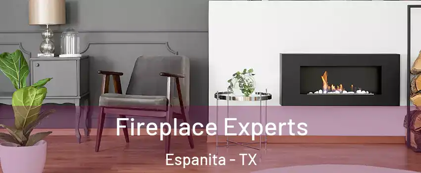 Fireplace Experts Espanita - TX