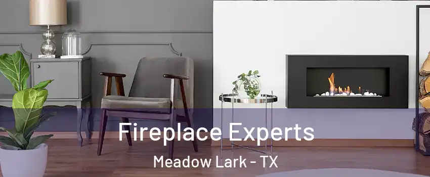 Fireplace Experts Meadow Lark - TX
