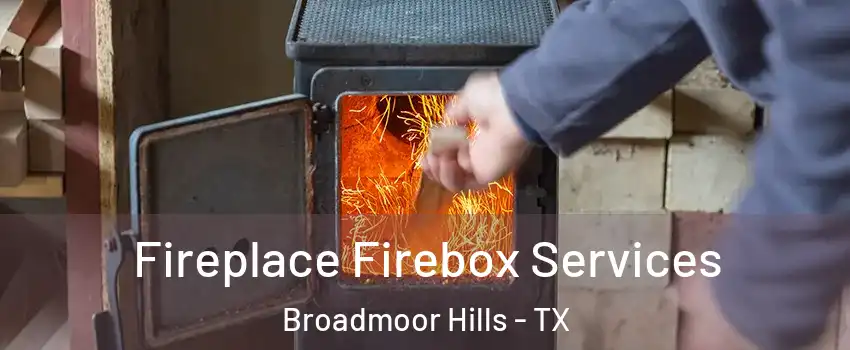 Fireplace Firebox Services Broadmoor Hills - TX